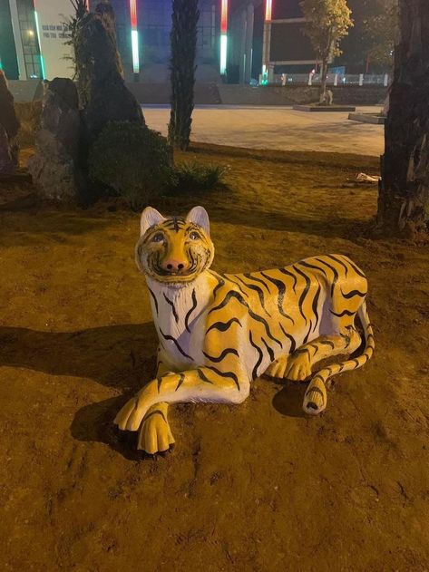 Photographer: Megan Ziegler All copyrights belong to the owners of Megan Ziegler, may not be reproduced in any way! © All rights reserved Cartoon Galaxy, Tiger Spirit Animal, Memories Anime, Koleksi Parfum, Funny Tiger, Haha Photos, Stone Statue, Cute Tigers, Cartoon Character Pictures