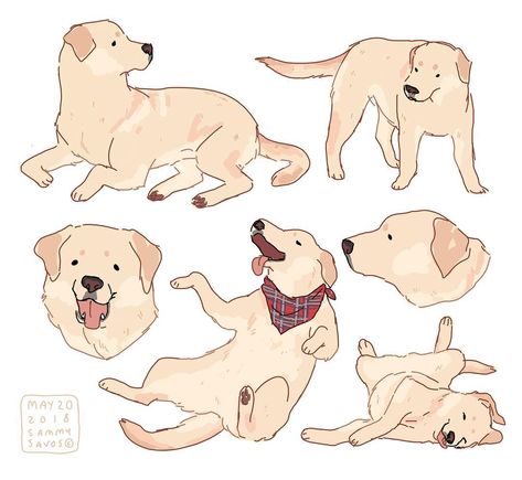 sammy savos on Instagram: “commission for brightdiscontent on tumblr!  #dog #dogs #puppy #puppies #art #labrador #labradors #lab #labs #yellowlab #yellowlabrador…” Labrador Character Design, Sammy Savos Dogs, Labrador Drawing Cartoon, Lab Dog Drawing, Cute Dog Poses, Dog Reference Drawing, Toast Tattoo, Sammy Savos, Labrador Illustration