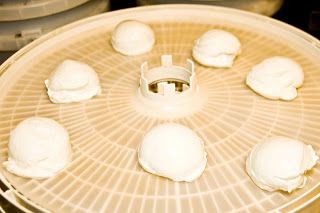 Dehydrating Way Beyond Jerky: yogurt Dehydrate Yogurt, Dehydrator Recipes Fruit, Yogurt Drops, Diy Yogurt, Yogurt Melts, Food Dehydration, Fruit Yogurt, Fruit Leather, Dehydrated Fruit