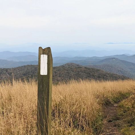 Spring is just around the corner in Madison County, NC! We love to hike our beautiful mountains for views just like this. Have you done much hiking on the Appalachian Trail? If you're visiting the Asheville area, check out some of the amazing hikes in Madison County on our website! . www.visitmadisoncounty.com . . #asheville #wnc #appalachiantrail #hike #spring #mountains #travel #vacation #explore #trip #roadtrip #exercise #828isgreat #zen #landscape #artinspiration #bobross #northcarolina #... Appalachia Core, Spring Mountains, Zen Landscape, Mountains Aesthetic, The Appalachian Trail, Mountains Travel, 24th Birthday, Madison County, Appalachian Mountains