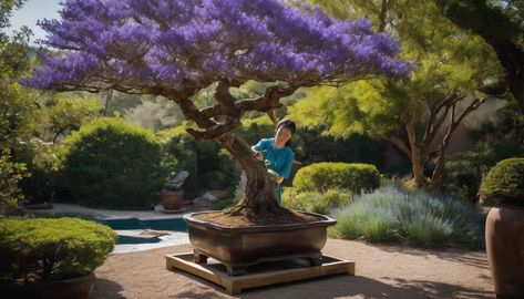 Blue Jacaranda, Jacaranda Trees, Jacaranda Tree, Plants Pots, Cactus Types, Insecticidal Soap, Australian Plants, Australian Garden, Liquid Fertilizer