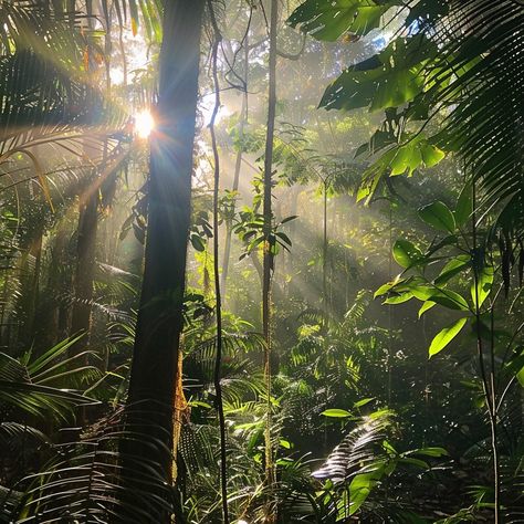 "Jungle Sunlight Filter: Morning rays of sun penetrate the dense #rainforest canopy, creating a magical dance of light and shadow. #jungle #sunrise #greenery #nature #forestbeauty #aiart #aiphoto #stockcake ⬇️ Download and 📝 Prompt 👉 https://stockcake.com/i/jungle-sunlight-filter_704475_82573" Indian Jungle Aesthetic, Tropical Jungle Aesthetic, Rainforest Aesthetic, Wildlife Aesthetic, Aesthetic Jungle, Sunlight Filter, Jungle Canopy, Rainforest Canopy, Jungle Aesthetic