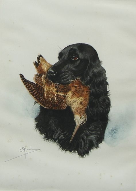 A print of a hunting dog, carrying a bird in it's mouth.  Signed. 51cm x 37cm. Some frame damage and spotting. Vintage Hunting Aesthetic, Hunting Dog Aesthetic, Bow Hunting Aesthetic, Edwin Landseer, Spaniel Art, Vintage Hunting, Hunting Art, Fox Decor, Hunting Dog