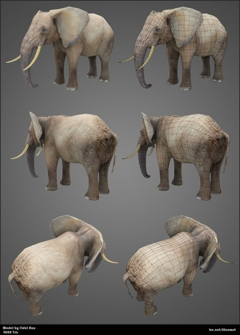 3D Elephant on Behance Elephant Anatomy, Elephant Sketch, 3d Elephant, Elephant Photography, Elephant Images, Elephant Carving, Elephants Photos, Human Sculpture, Elephant Drawing