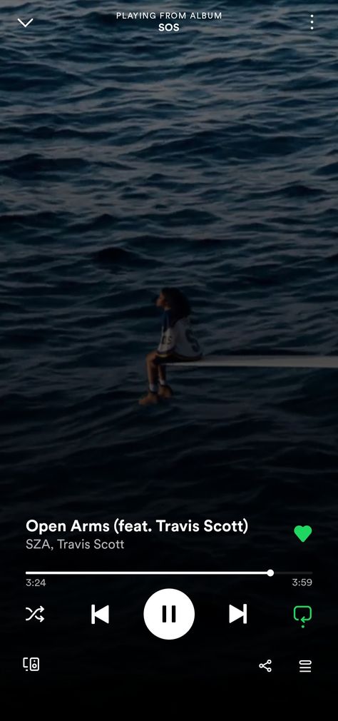 Open Arms Spotify, Open Arms Sza, Sza Songs, Sza Sos, Only Song, Winter Songs, Ghost In The Machine, Iphone Wallpaper Hd Nature, Creative Profile Picture