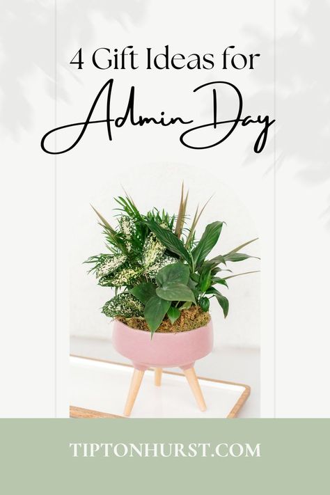 Gift ideas for Admin Day with green plant Appreciation Gifts For Admin, Admin Gifts, Admin Day Gift Ideas Staff Appreciation, Admin Day Gift Ideas, Professional Admin Day Gift Ideas, Admin Professionals Day Gift Ideas, Administrative Day Gift Ideas, Admin Appreciation Day, Administrative Professionals Day Gifts