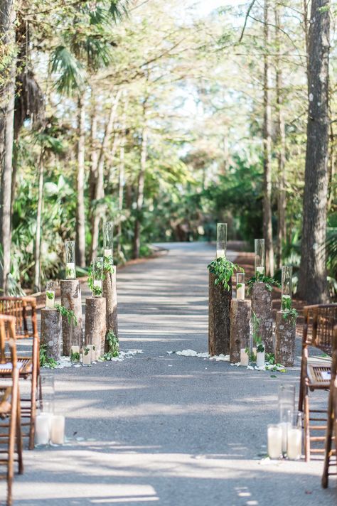 Tree Trunk Wedding Decor, Tree Stumps Wedding Aisle, Fall Wedding Aisle Decorations Outdoor Tree Stumps, Forest Wedding Aisle Runner, Wooden Stumps Wedding Ceremony, Wedding Aisle Wood Stumps, Tree Lanterns, Campground Wedding, Indoor Tree