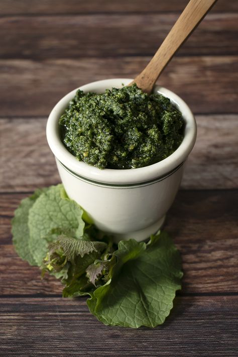 Garlic Mustard - The Tastiest Invasive Species You Can Eat Nettle Soup, Garlic Mustard, Healthy Detox Cleanse, Wild Food Foraging, Foraging Recipes, Edible Wild Plants, Foraged Food, Herb Recipes, Wild Edibles