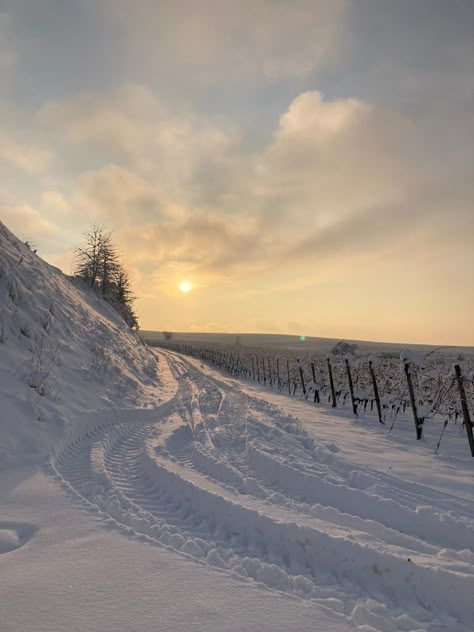 Sunny Snowy Day, Snow Day Aesthetic, Snow Pretty, Forever Winter, Horse Skull, Snow Pics, Photos For Edits, Back To December, Snow Night