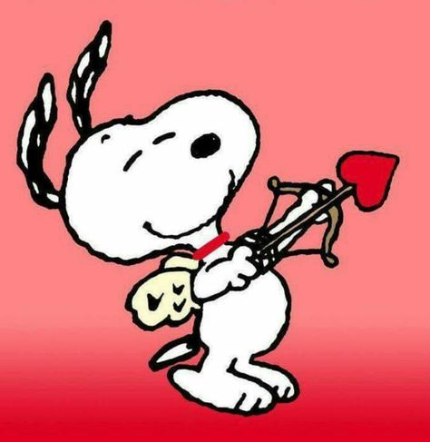 Snoopy Love Cupid Snoopy, Snoopy Valentine's Day, Snoopy Valentine, Jason Lee, Snoopy Images, Peanuts Cartoon, Peanuts Characters, Charlie Brown Snoopy, Snoopy Wallpaper