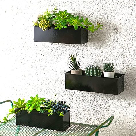 Amazon.com: LaLaGreen Wall Planter - 3 Pack, 12 Inch Large Wall Mount Succulent Planters Black, Wall Hanging Rectangle Metal Flower Pot Window Planter Box Fence Railings Minimalist Floating Shelve Indoor Outdoor : Patio, Lawn & Garden Rectangular Flower Pot, Window Sill Plants, Garden Shelf, Living Wall Planter, Metal Wall Planters, Indoor Plant Wall, Wall Planters Indoor, Wall Mounted Planters, Metal Flower Pots