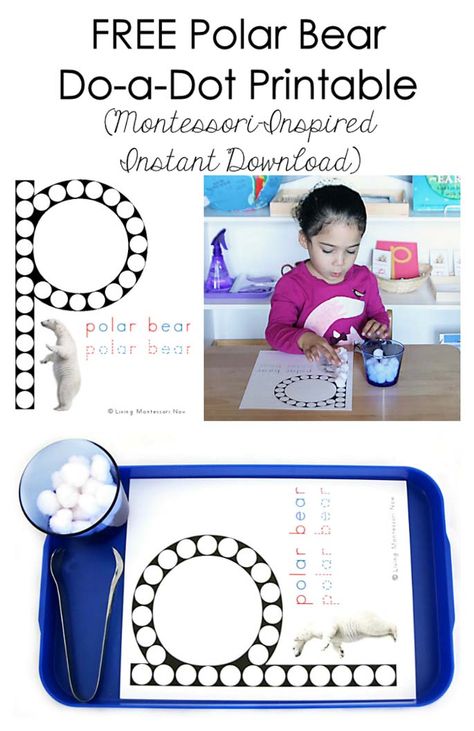 This free polar bear do-a-dot printable uses a real polar bear image, is an instant download, and is super-easy to access and use. Arctic Animals Printables, Polar Bears Preschool, Arctic Animals Activities, Polar Bears Activities, Polar Bear Theme, Polar Bear Images, Fine Motor Activities For Kids, Animal Printables, Polar Animals