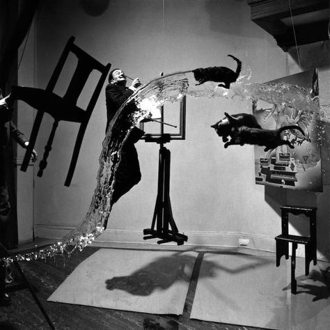 Famous Photographs, Philippe Halsman, Canvas Photo Wall, Black Cat Art, Painter Artist, 3d Studio, Salvador Dali, Art Wall Art, Photo Canvas