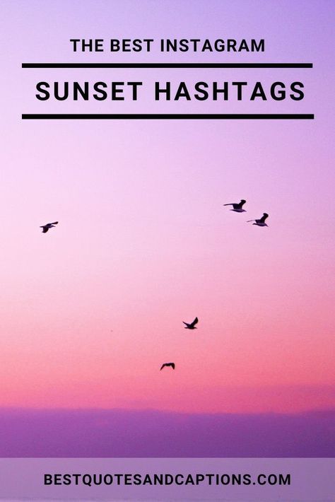 Sunset Hashtags for Instagram Insta Hashtags, Ig Hashtags, Hashtag Quotes, Hashtag Ideas, Popular Hashtags, Instagram Tools, Trending Hashtags, Sunrise Pictures, Sky Pictures