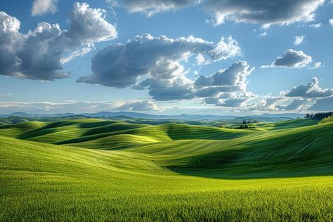 Rolling Green Hills Under Dramatic Skies with Nature Background Hills Background For Editing, Background Hills, Hills Background, Hills Wallpaper, Seasonal Backgrounds, Green Hills Painting, Nature Background, Green Hills, Tree Saw