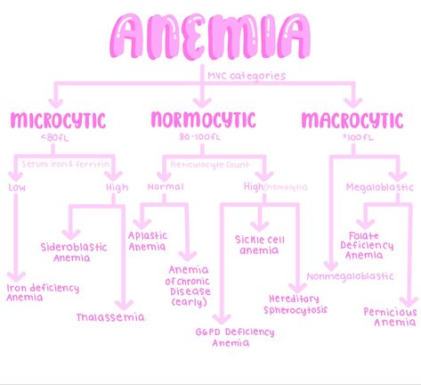 Hematology Aesthetic, Hematology Notes, Medical Study Notes, Medical Laboratory Science Student, Aesthetic Medical, Nurse Skills, Medical Laboratory Technician, Medical Assistant Student, Medical Study