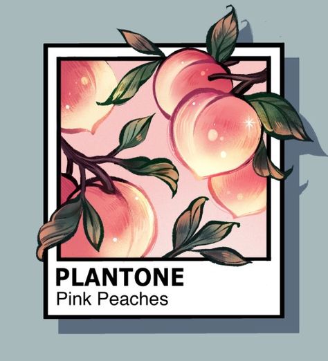 PLANTONE® Peach Paint, Animal Illustration Art, Peach Art, Posca Art, Plant Art, Peach Pink, Peaches, Flower Drawing, Drawing Inspiration