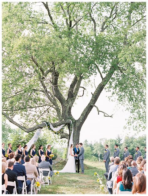 Gedney Farm Wedding, Berkshires Wedding, Berkshire Wedding, Rustic Summer Wedding, Romantic Theme Wedding, Cocktail Hour Wedding, Western Massachusetts, Wedding First Look, 2025 Wedding