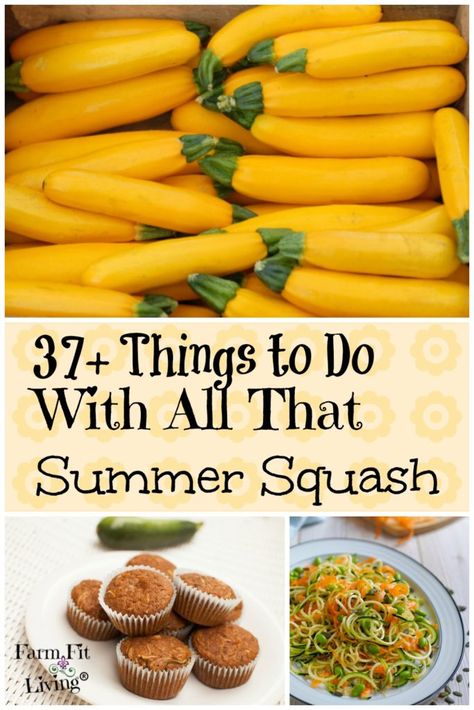 Easy Squash Recipes, Canned Squash, Was Sind Curtain Bangs, Sind Curtain Bangs, Zucchini Desserts, Zucchini Cheddar, Healthy Squash Recipes, Squash And Zucchini, Homestead Gardening