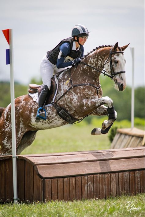 Horse Tacked Up, Cross Country Jumping, Cross Country Equestrian, Horse Emotions, Cross Country Horses, Cross Country Horse Riding, Show Jumping Aesthetic, Horses English, Dappled Horse