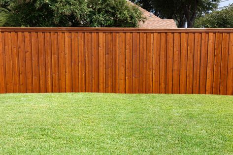 Pressure Treated Western Red Cedar Fence With Board On Board Installation Fence Options, Wood Privacy Fence, Wood Fence Design, Fence Stain, Patio Privacy, Backyard Fence, Backyard Privacy, Types Of Fences, Building A Fence