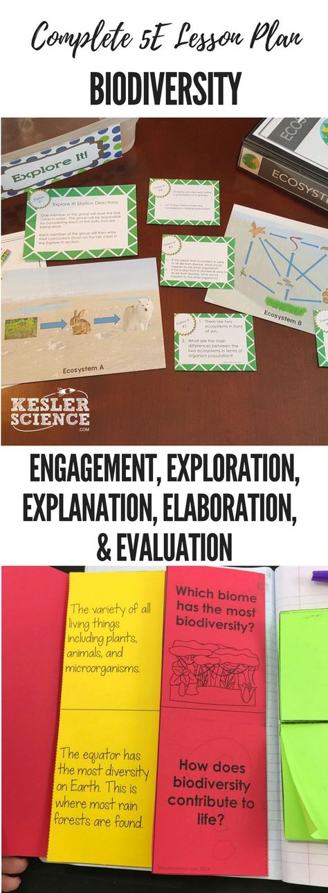 Biodiversity 5E Lesson Plan ready to print and teach the entire ecosystems unit. Includes word wall of vocabulary, interactive science notebook template, PowerPoint and note worksheet, and student choice final project. Complete station lab activity is als 5e Lesson Plan, Middle School Science Activities, Convection Currents, Notebook Template, Middle School Science Teacher, Weather Unit, Secondary Science, Student Choice, 8th Grade Science