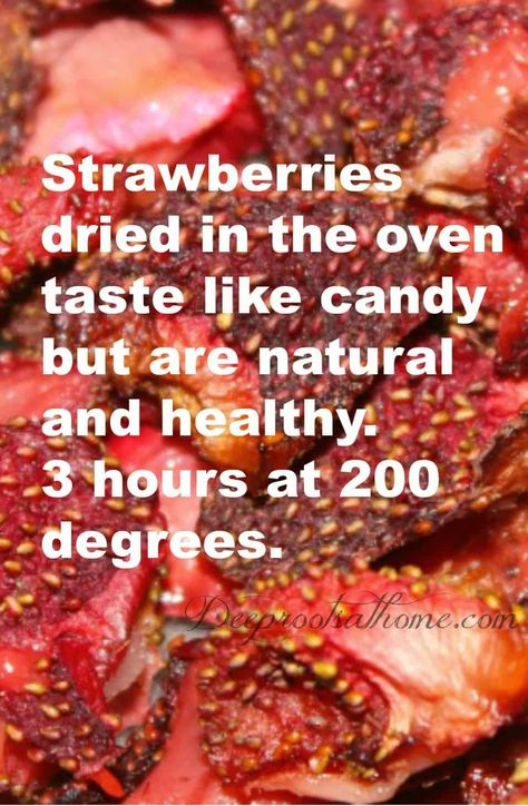 Oven Dried Strawberries, Dehydrating Food, Desserts Summer, Dessert Healthy, Desserts Healthy, Fruit Summer, Sweet Fruit, Dried Strawberries, Dehydrated Food