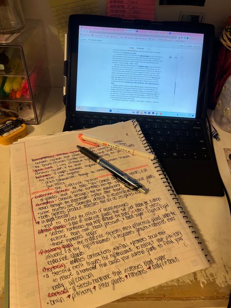 Pyschology Girl Aesthetic, Ap Psychology Notes, Rory Gilmore Aesthetic Study, Academic Inspiration, Studies Aesthetic, Rory Gilmore Aesthetic, Gilmore Aesthetic, Ap Psychology, Psychology Notes