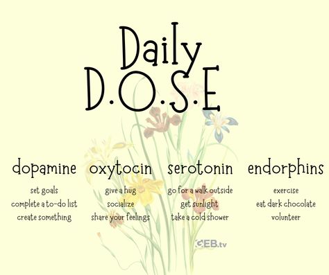 These are natural normal chemicals that not all humans can release in a day, be the exception. #healthy #endorphins #dopamine #release #health #bekind #plan #accomplish #hugs #eatchocolate #livelong #livewell #helpingyoulivewell #kgeb #geb #help #motivation #reminder Dopamine Quotes Love, Dopamine Quotes Funny, Dopamine Quotes, Dopamine Quote, Endorphins Quotes, Dopamine Release, Health Walk, Be The Exception, Exercise Goals