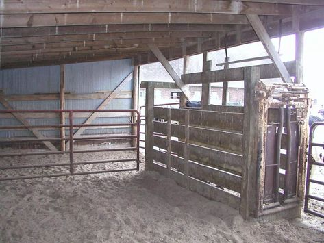 Tips for Creating Beef Cattle Handling Facilities | PPT Cattle Barn Designs, Corral Ideas, Show Cattle Barn, Cattle Housing, Cattle Gate, Cattle Facility, Cattle Pens, Cattle Corrals, Livestock Barn