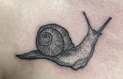 Two Snails Tattoo, Small Grasshopper Tattoo, Small Snail Tattoo, Snail Tattoos, Roly Poly Tattoo, Isopod Tattoo, Slug Tattoo, Snail Tattoo With Mushrooms, Cute Snail Tatoos