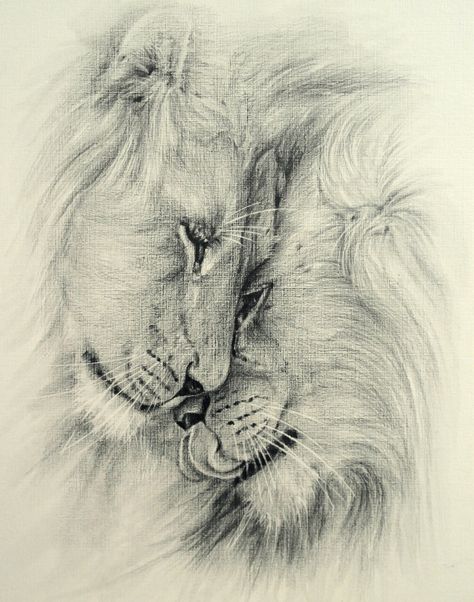 Lion Couple Drawing, Lion And Lioness Drawing, Lion Sketch Pencil, Drawings Of Lions, Lion Pencil Drawing, Lion And Lioness Tattoo, Tiger Sketch, Lion Sketch, Lioness Tattoo