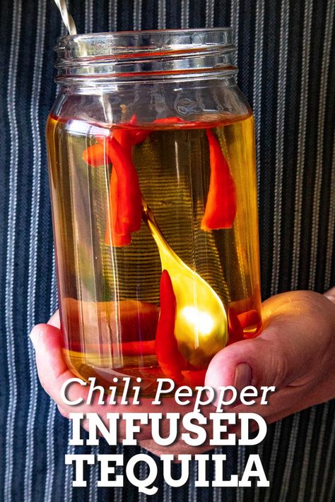 Learn how to make spicy tequila, like jalapeno infused tequila, with our simple tutorial. Great for making fun, spicy cocktails for your next fiesta. #infusedtequila #chilipepperinfusedtequila Jalapeno Infused Tequila, Spicy Cocktails, Spicy Margarita Recipe, Infused Tequila, Tequila Day, Tequila Recipe, Chili Pepper Recipes, Spicy Buffalo Chicken, Spicy Drinks