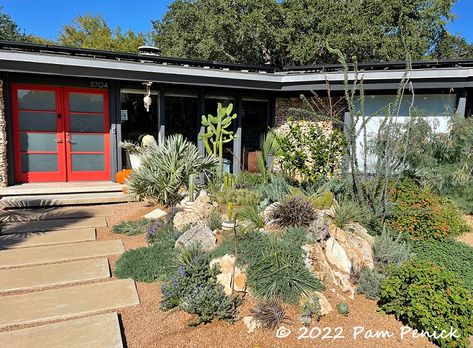 Xeroscaping Backyard, South Texas Landscaping, Crevice Garden, Desert Landscape Front Yard, Landscaping Rocks, Texas Landscaping, River Rock Landscaping, Texas Gardening, Alpine Plants