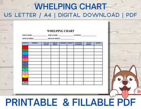 Whelping chart editable, whelping record, puppy whelping, breeder forms printable PDF instant download Dog Breeding Paperwork, Puppy Whelping Chart, Dog Breeding Supplies, Whelping Charts Free Printable, Puppy Breeder Setup, Dog Breeder Setup, Whelping Chart, Whelping Box Ideas, Puppy Growth Chart