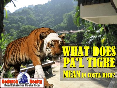 What does Pa’l Tigre mean in Costa Rica Animals In Costa Rica, Cahuita Costa Rica, Costa Rica Real Estate, Costa Rica Animal Sanctuary, Jaguar Rescue Center Costa Rica, Occidental Papagayo Costa Rica, Culture Shock, Costa Rican, The Tiger