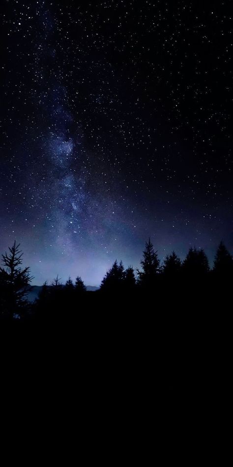 The Night Sky, Nature Wallpaper, Night Sky, Trees, Stars, Nature