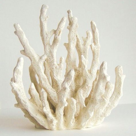 Beautiful white coral statue from ebay: something similar for my rings? Coral Sculpture, Art Coquillage, Coral Decor, Coral Art, Sea Coral, Aquarium Decor, Glam Decor, Creative Co Op, White Coral