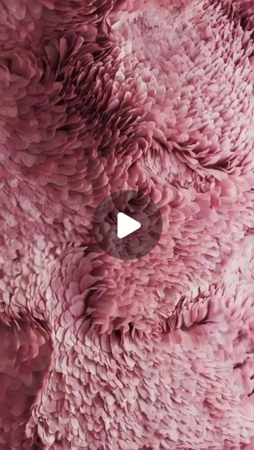 Grif on Instagram: "🌸 FutureFlorals 🌸   . . . . . #floral #design #animation #3dart #3danimation #rebdering #redshift #xuxoe #behance #designboom #flowers #simulation #tyflow #embergen #houdini #3dsmax #c4d #artdirection #luxury #fashion #fragrance #visualart #watts #motiondesign #reel" Houdini Simulation, Design Animation, Motion Graphic, Patterns In Nature, Blooming Flowers, 3d Animation, Motion Design, Graphic Design Inspiration, Motion Graphics