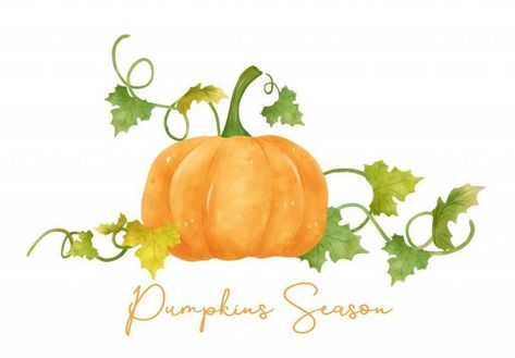 Vine Drawing, Vine Decoration, Watercolor Orange, Pumpkin Vine, Pumpkin Drawing, Drawing Examples, Vector Banner, Painting Medium, Orange Pumpkin