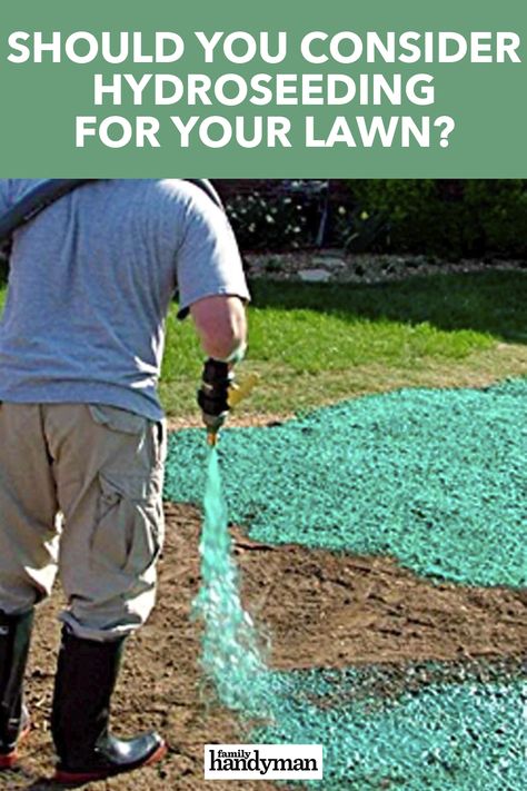 Hydro Seeding Lawn, Garden Decks, Organic Lawn Care, Lawn Repair, Seeding Lawn, Lawn Care Business, Growing Grass, Landscaping Business, Diy Lawn