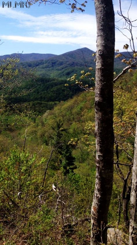 Hiking trails near Gatlinburg #gatlinburg #tennessee #naturephotography #hikingtrails Elkmont Campground, Background Practice, Clingmans Dome, Laurel Falls, Outdoor Adventure Activities, Hiking Adventures, Rainbow Falls, Hiking National Parks, Gatlinburg Tennessee