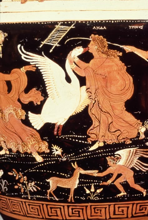 Leda and Zeus as Swan. Apulian Red Figure Ware, attributed to the Painter of Louvre. Late Classical Period Aphrodite Ancient Art, Peitho Goddess Aesthetic, Peitho Goddess, Ancient Greek Paintings, Persephone Story, Ancient Greek Vase, Leda And The Swan, God Zeus, Greek Vase