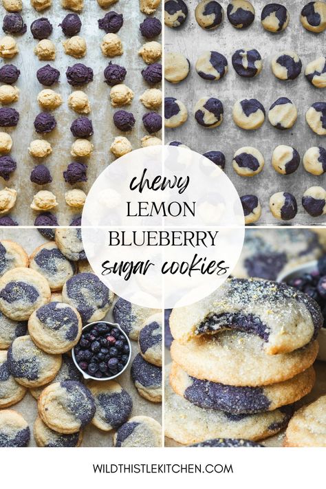 A pretty, swirled sugar cookie that combines a classic flavor combo, these Lemon Blueberry Cookies are chewy, delicious, and just really fun! A lemony sugar cookie dough gets swirled with freeze-dried blueberry powder creating a beautiful and delicious cookie. #lemonblueberrycookies #freezedriedblueberrycookies #freezedriedblueberryrecipes Fresh Blueberry Cookies, Blueberry Sugar Cookies, Swirl Sugar Cookies, Lemon Blueberry Cookies, College Recipes, Strawberry Sugar Cookies, Cottage Bakery, Cookie Dough Ingredients, Strawberry Ice Cream Recipe