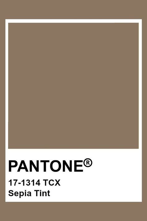 Brown Pantone, Pantone Tcx, Shade Of Orange, Pantone Color Chart, Pantone Swatches, Shade Of Brown, Hexadecimal Color, Sepia Color, Pantone Palette