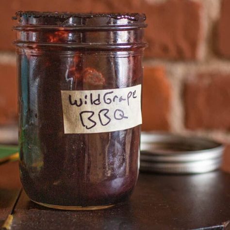 Wild Grape or Elderberry Barbecue Sauce Recipe - Forager | Chef Forager Chef, Grape Vinegar, Barbecue Sauce Recipe, Elderberry Juice, Aronia Berries, Wild Food Foraging, Foraging Recipes, Grape Recipes, Barbecue Sauce Recipes