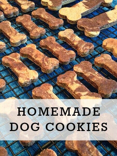 Spoil the special pooch in your life with freshly made, wholesome DIY dog treats that you can feel good about giving them. More than 100 dog treat recipes to choose from. Simple Dog Treat Recipes, Dog Biscotti Recipe, Diy Dog Treats To Sell, Chicken Dog Treats Recipes, Homemade Dog Treat Recipes, Dog Cookie Recipes, Pet Recipes, Homemade Dog Cookies, Pet Treats Recipes