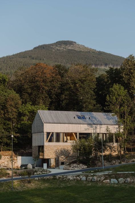 Gallery of Apartments in Wolf Clearing / studio de.materia - 13 Gable Wall, 3d Reference, Underground Garage, Wood Shingles, Plumbing Installation, Wood Cladding, Concrete Structure, Historical Architecture, Ground Floor