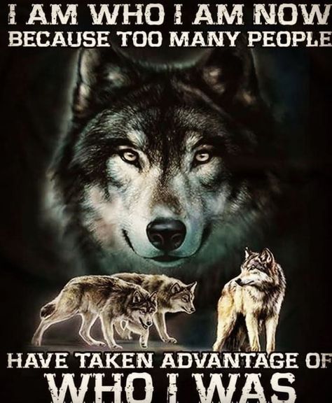 Wolf Pack Quotes, Wolf Quote, Lone Wolf Quotes, Dragon Quotes, Wolf Quotes, Wolf Spirit Animal, She Wolf, Wolf Wallpaper, Wolf Pictures