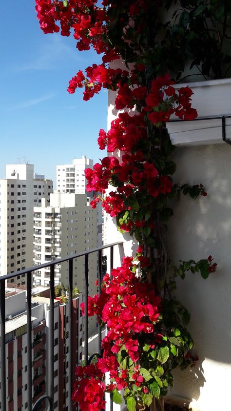 Balcony Swing, Roof Terrace Design, French Balcony, Girly Room Decor, Balcony Flowers, Pebble Art Family, Balcony Plants, Girly Room, Plant Decor Indoor